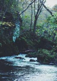 诡秘之主之崛起